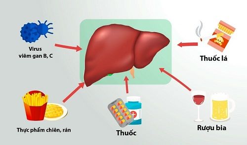 Bảo vệ và giải độc gan trước mỗi cuộc nhậu