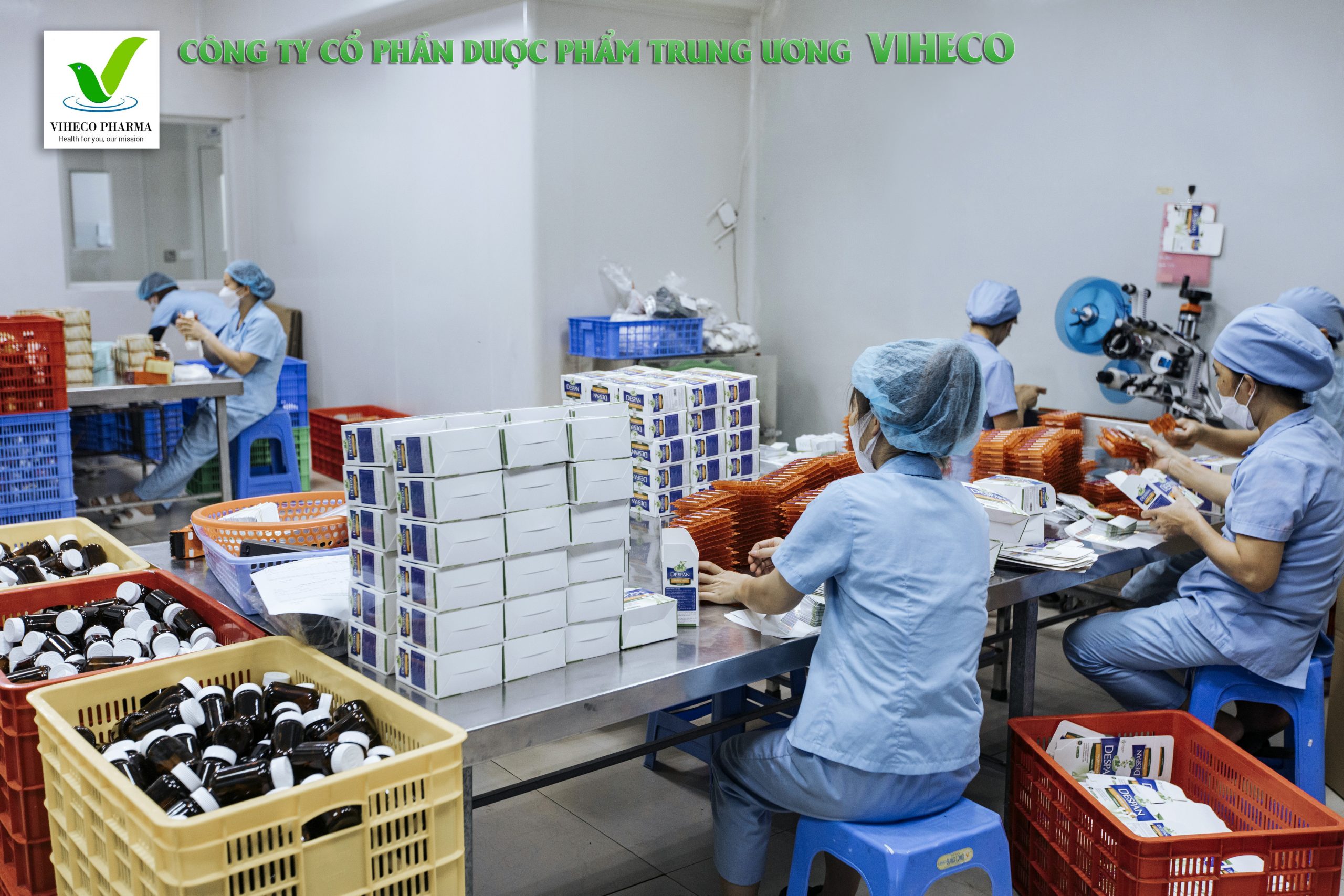 CHÀO THÁNG MỚI CÙNG VIHECO