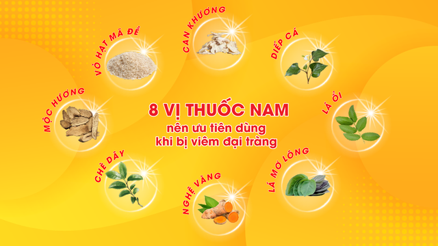 8 cây thuốc nam nên dùng khi bị viêm đại tràng